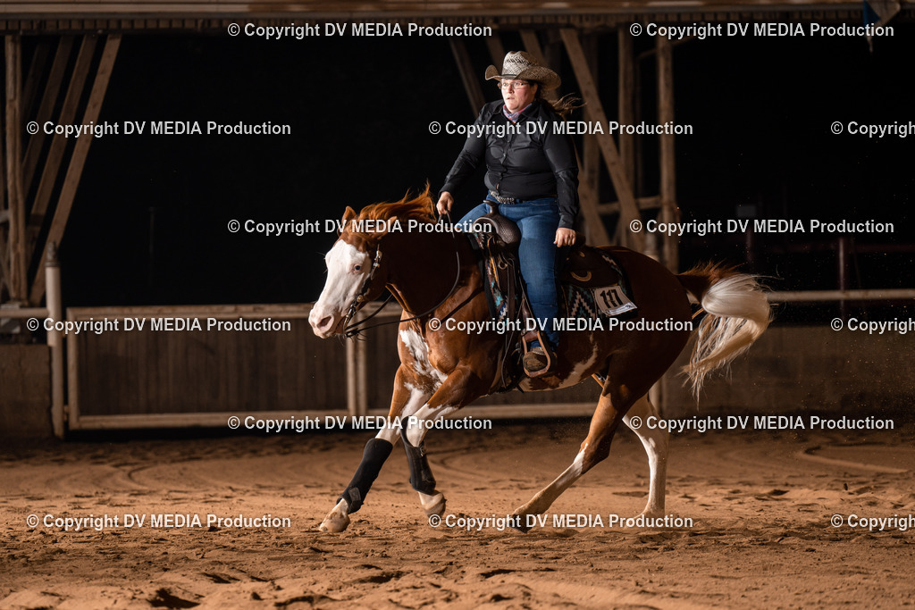 Erbach Tag 3-1017 | dv-media-shop - Realisiert mit Pictrs.com