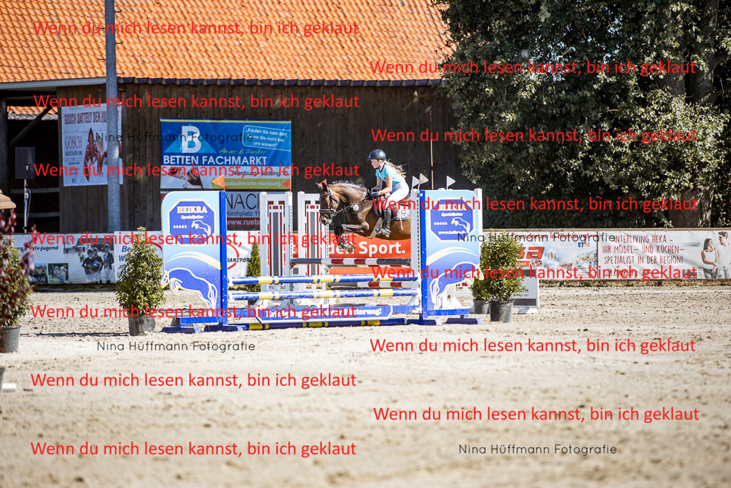 BK1A8025 | Turnierbilder Turnierfotos Nina Hüffmann Turnierfotografie Pferdefotografie Tierzeichnung Haustierzeichnung Pferdezeichnung Hundezeichnung Videograf  - Realisiert mit Pictrs.com
