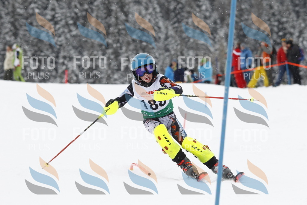 A2118 | holidayphoto