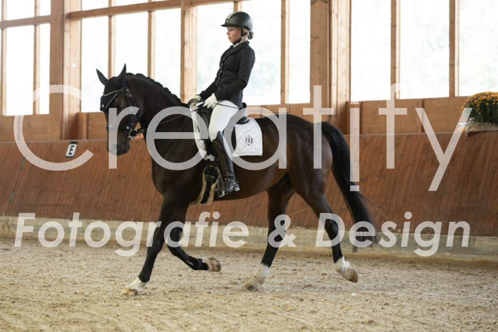 IMG_1184 | Creatify Fotografie