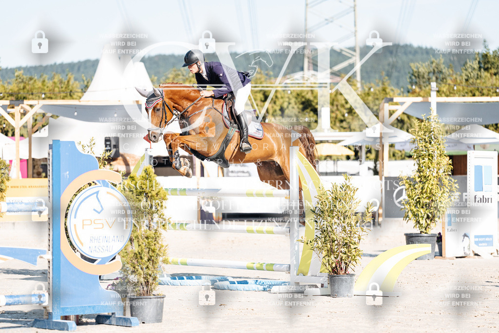 CK904340 | Turnierfotografie Pferdefotografie Trier Rheinland-Pfalz Pferdesport Reitsport Tierfotografie Sportfotografie Pferdevideo Pferdevideografie Equestrianvideography equestrianphotography  - Realisiert mit Pictrs.com