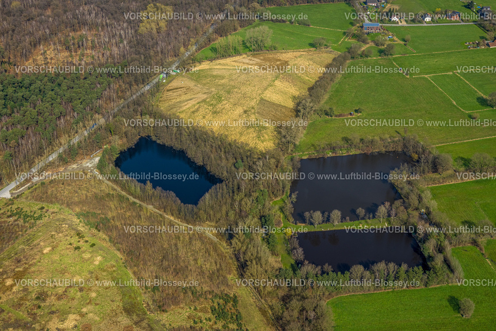 Schermbeck240310072 | Luftbild, Naturschutzgebiet Steinbach mit Halde und drei Teichen, Eichenallee, Gahlen, Schermbeck, Nordrhein-Westfalen, Deutschland