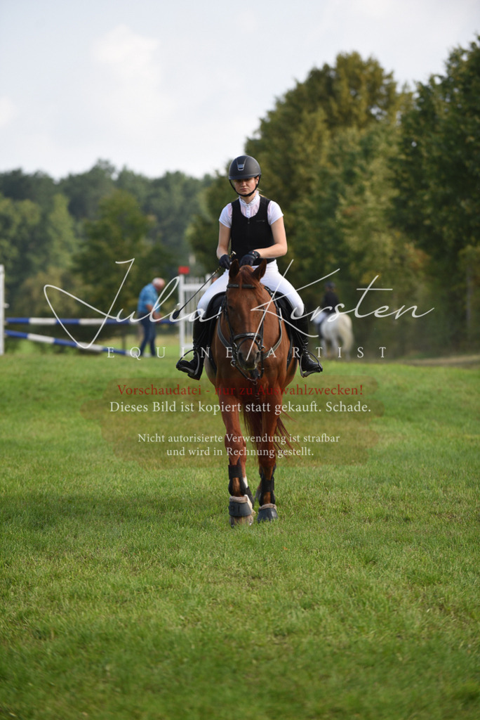 DSC_8546 | Pferde- und Turnierfotografie in Westsachsen. Pferdeportraits, Auftragszeichnungen und intuitive Kunst.