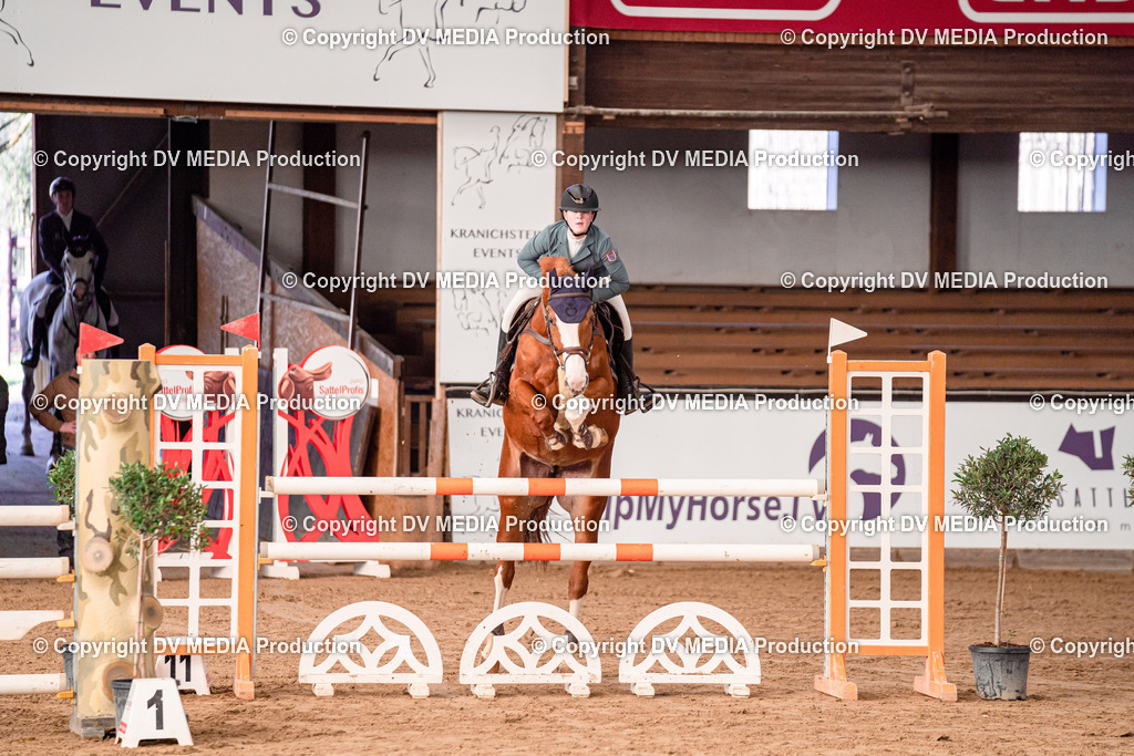 Kranichstein Tag 3-1080 | dv-media-shop - Realisiert mit Pictrs.com