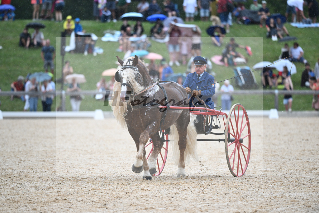 Sulkyquadrille_36240899 | hf-fotografie - Realisiert mit Pictrs.com