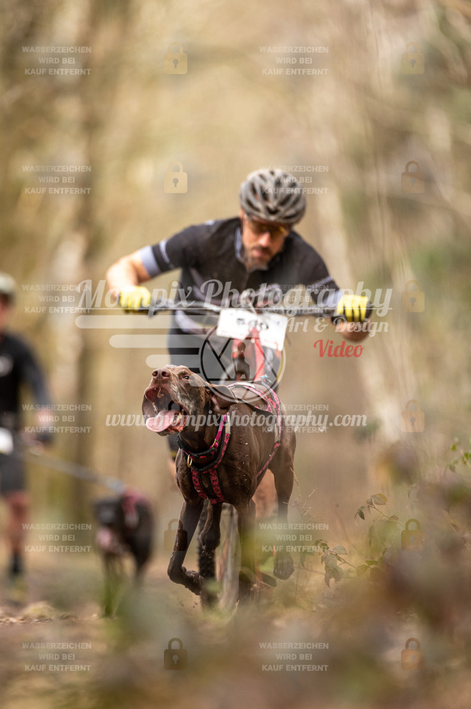 SPA_2023_SAM_Scooter-19 | PayLife