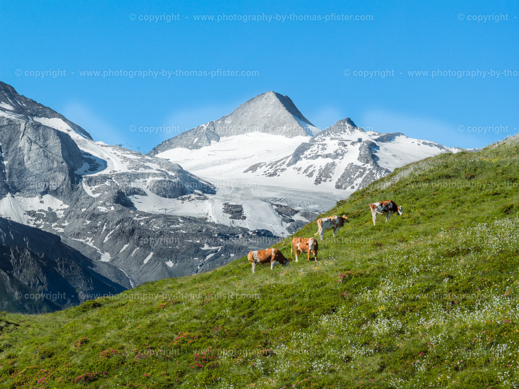 Wandern Eggalm Brandalm copyright  Thomas Pfister-8 | PHOTOGRAPHY BY THOMAS PFISTER