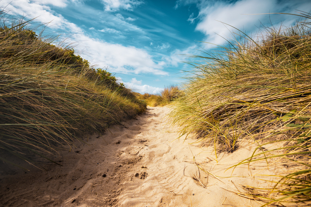 Sandiger Dünenweg durch Strandgras,Typische Küstenlandschaft auf Sylt | Das ausgewählte Bild zeigt einen sandigen Dünenweg mit Strandgras unter einem teilweise bewölkten, blauen Himmel. Das Motiv fängt die typische, friedliche Atmosphäre einer Küstenlandschaft an der Nord- oder Ostsee ein - Realisiert mit Pictrs.com