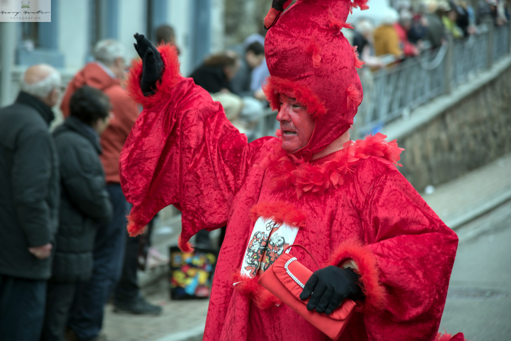 FastSonn_23-175 | Fotoblog Schwarzwald, Foto Blog Wiesental, Pfaffenberg, Winterzauber, Zeller Bergland, Zell im Wiesental, Fotoblog Wiesental, Landschaftsfotos, Bilder Wiesental, Natur, Naturbilder, Fastnacht, Zeller Fastnacht, Zeller Fasnacht, Zeller Bergland, Belchen, - Realisiert mit Pictrs.com