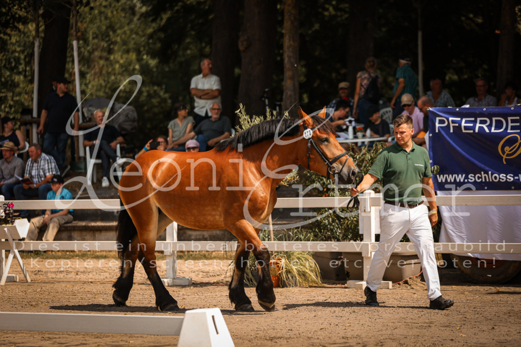 1.Sa00002 | Leoni Ertmer Photography - Realisiert mit Pictrs.com