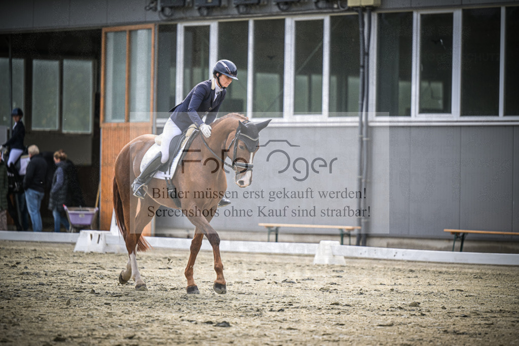 DOS_1879 | Entdecke hochwertige Reitturnierfotos von Foto Oger. Professionell, emotional und authentisch – jetzt Lieblingsmomente im Shop bestellen.Deutschlandweite Turnierfotografie. - Realisiert mit Pictrs.com