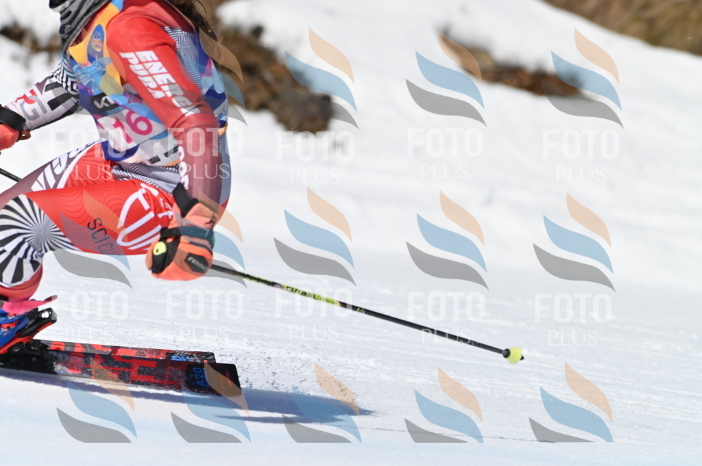 BGV_7885 | holidayphoto