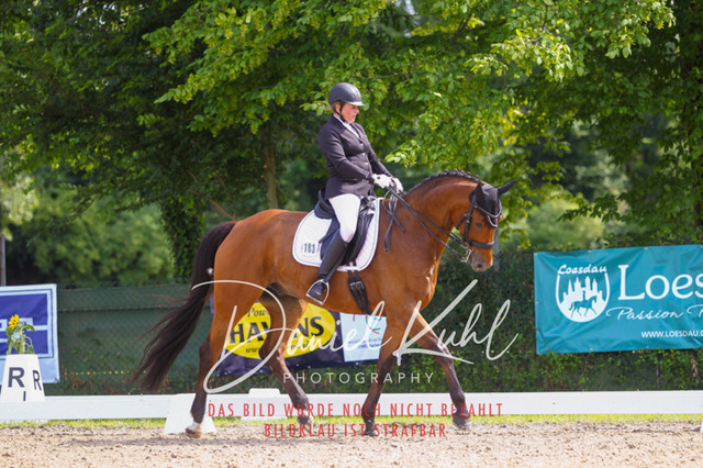 DKP41043 | Turniersportfotografie; Pferdefotografie; Dressurfotografie