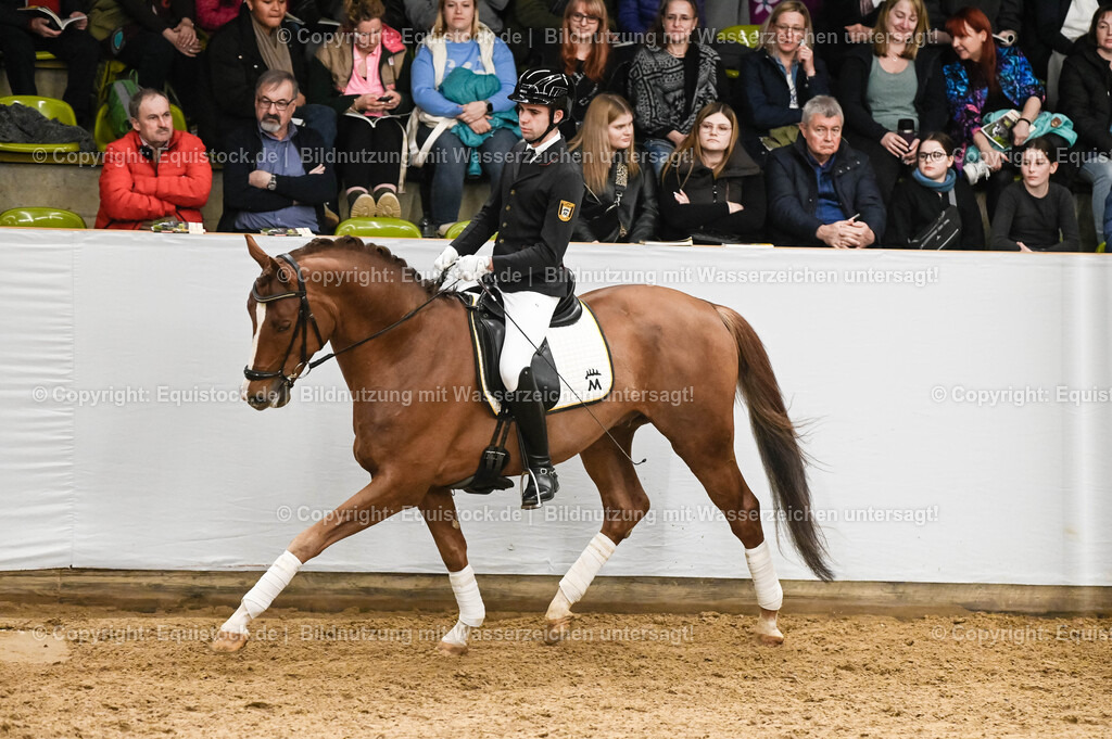 20260307_Hengstvorstellung-Marbach_0237 | equistock
