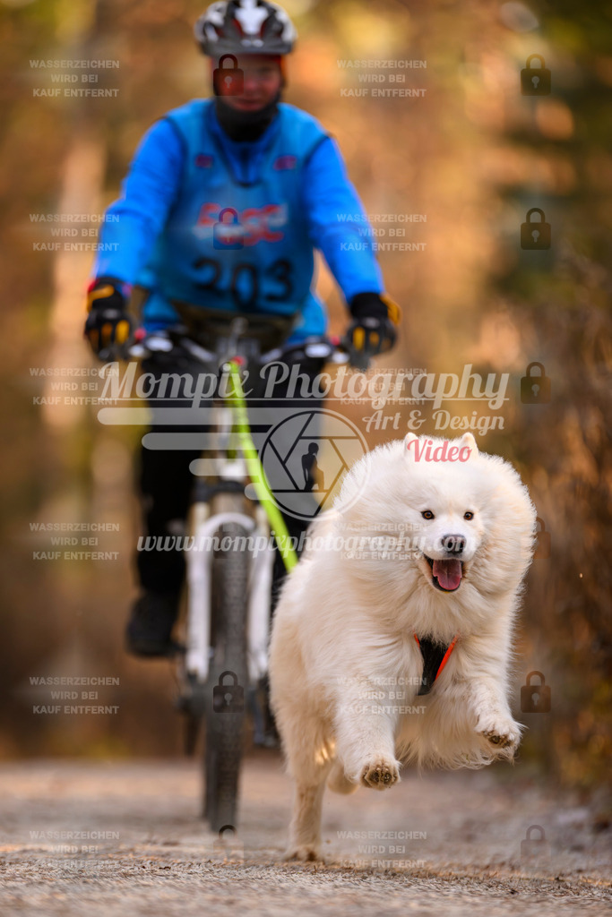 MompixPhotography_DM_AKDM_SO_2025_Bike-4 | PayLife