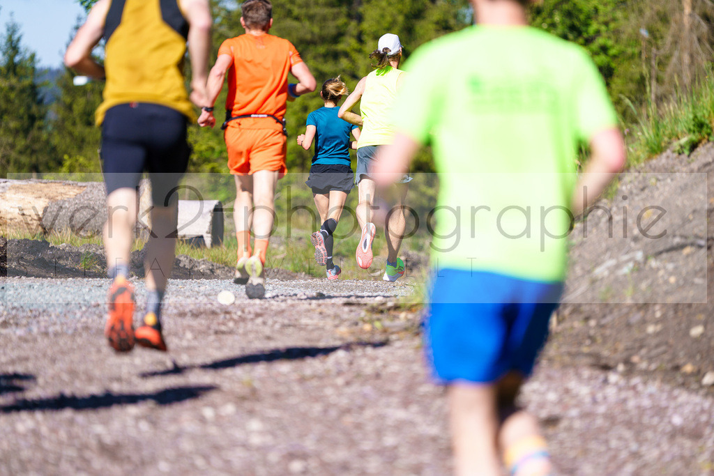 Rennsteiglauf Marathon 2025 | Marathon von Neuhaus/Rwg. nach Schmiedefeld/Rstg. am 17. Mai 2025