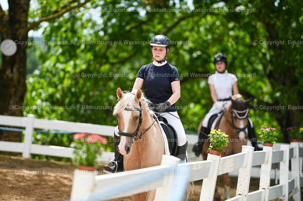 20230715_09_Dressur-WB_0539 | equistock