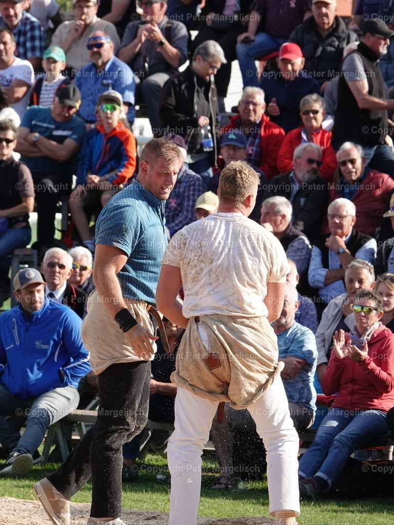 DSC05624 | Schwingen - Realisiert mit Pictrs.com