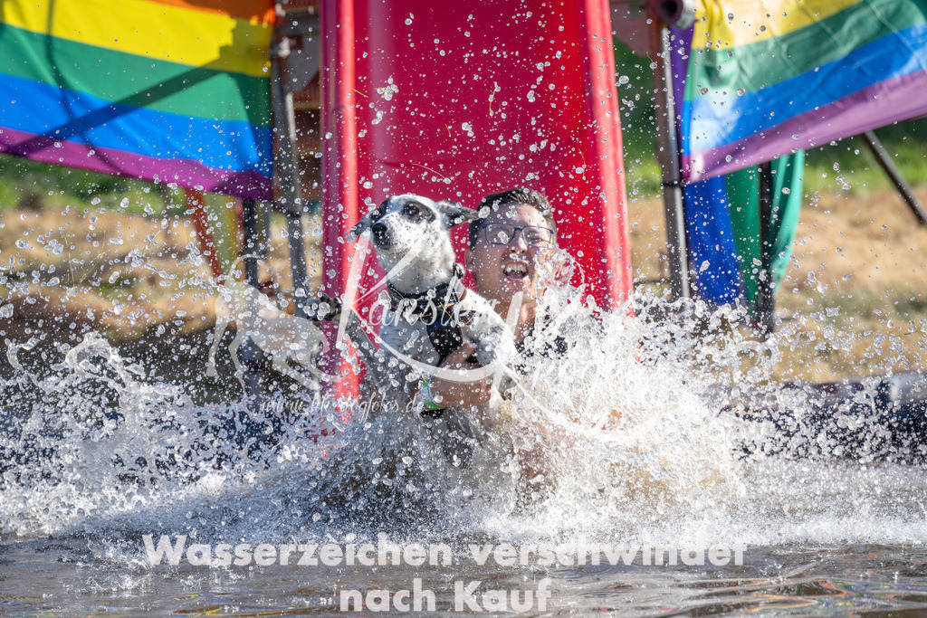 1716_ZZ94357 | kk-dogfotos