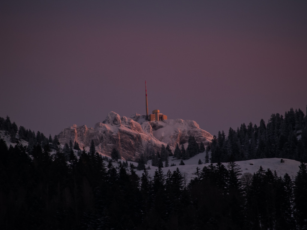 PSX_20230119_231646 | OLYMPUS DIGITAL CAMERA - Realisiert mit Pictrs.com