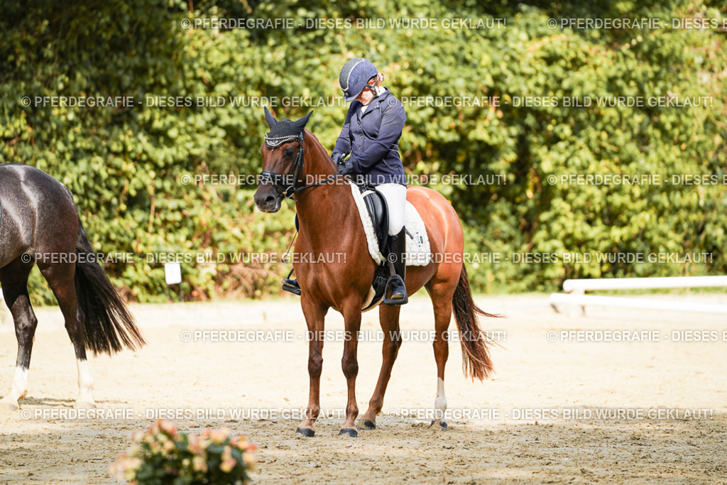 DSC02480 | Pferdegrafie