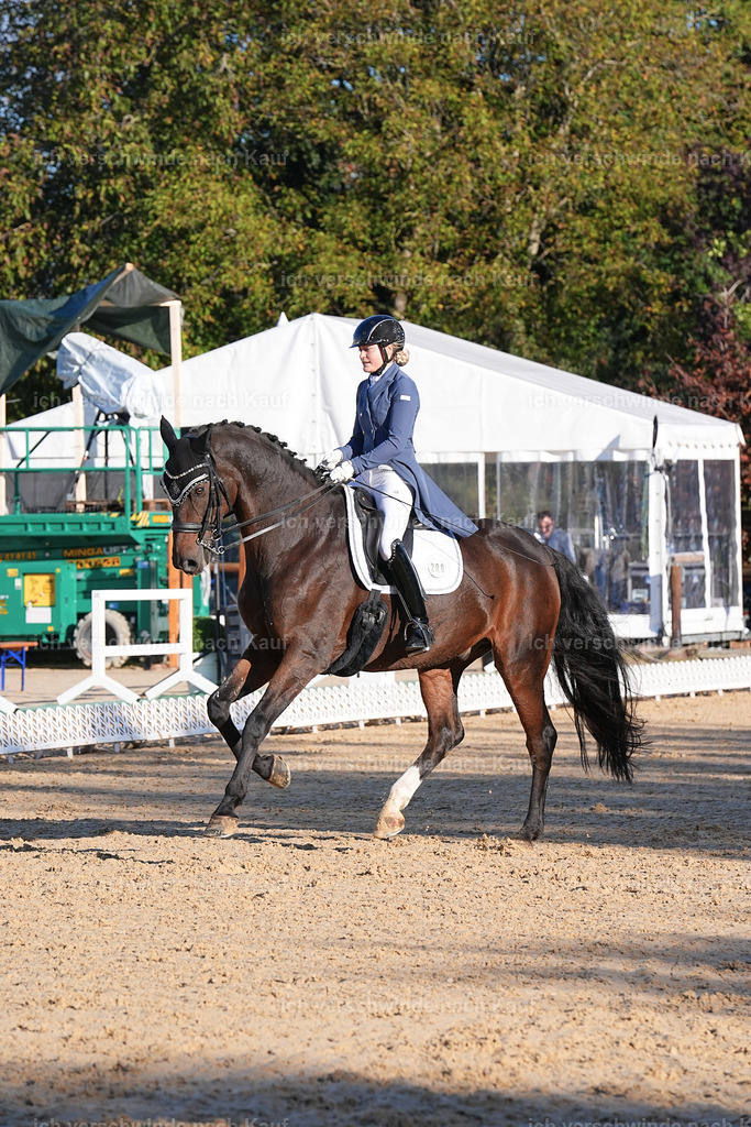 09_1-200-DRESSUR  S_  -Marixx-5660 | working equitationturnier fotograf videograf stoibphotography marixx film working equitation deutschland reitsport turnierfotografie eventfotografie equestrian events