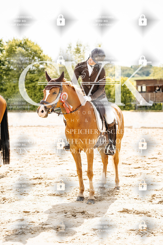 CK703627 | Turnierfotografie Pferdefotografie Trier Rheinland-Pfalz Pferdesport Reitsport Tierfotografie Sportfotografie Pferdevideo Pferdevideografie Equestrianvideography equestrianphotography  - Realisiert mit Pictrs.com