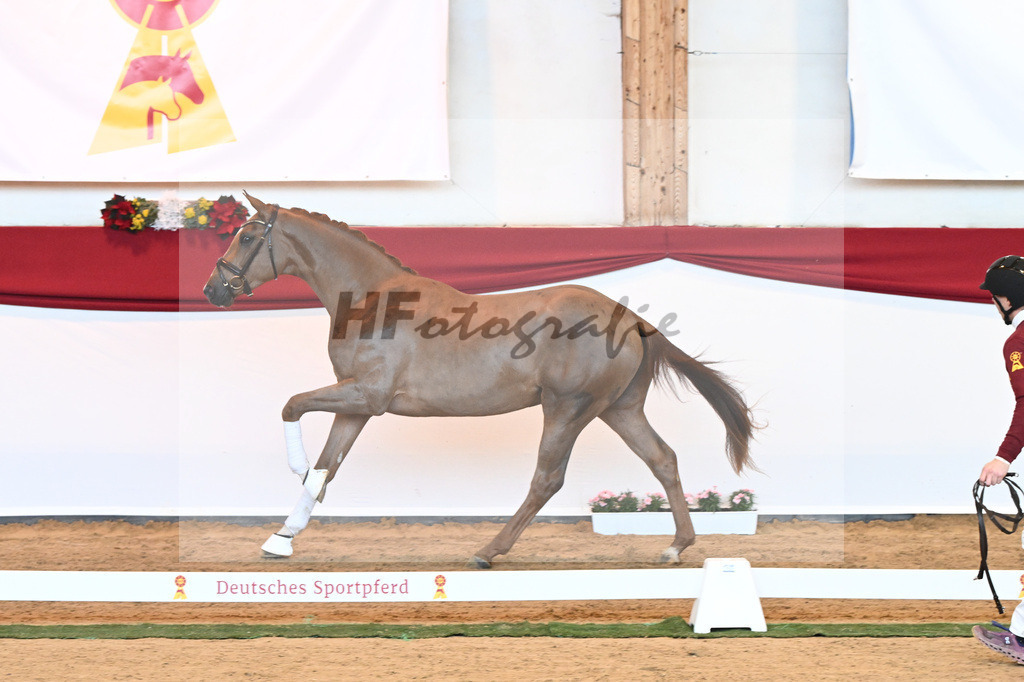 Kat-Nr. 18 D cinzano x Frenchman II_Heinrich_43230210 | hf-fotografie - Realisiert mit Pictrs.com
