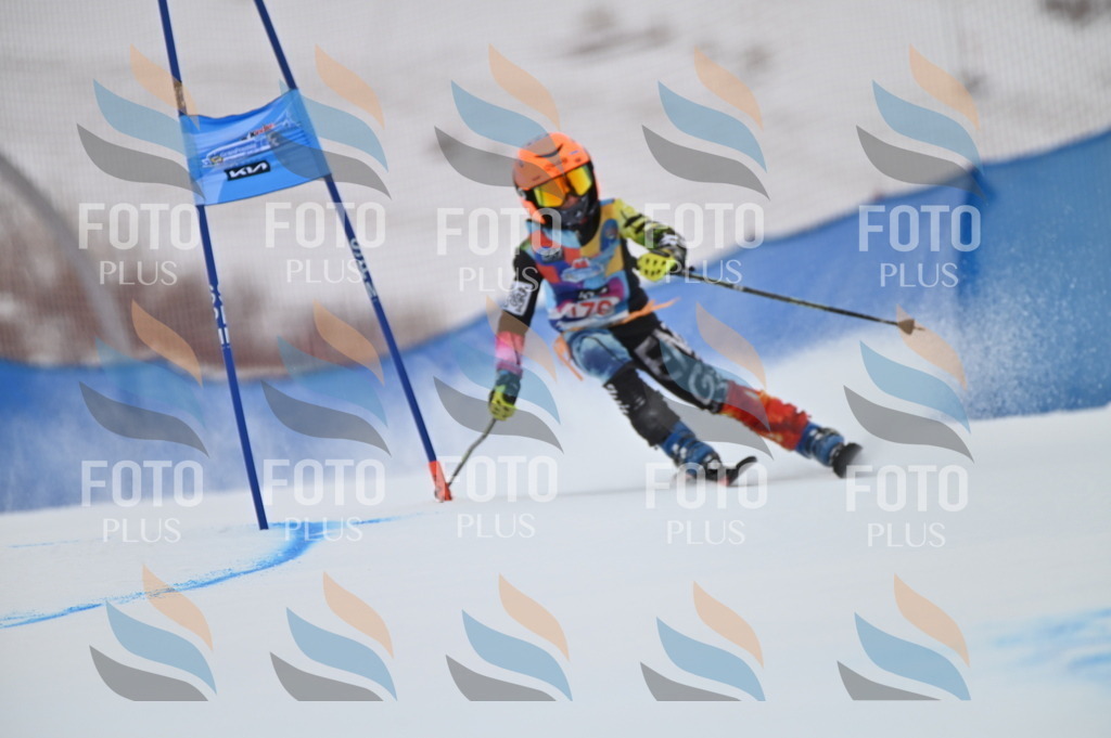 BGV_0977 | holidayphoto