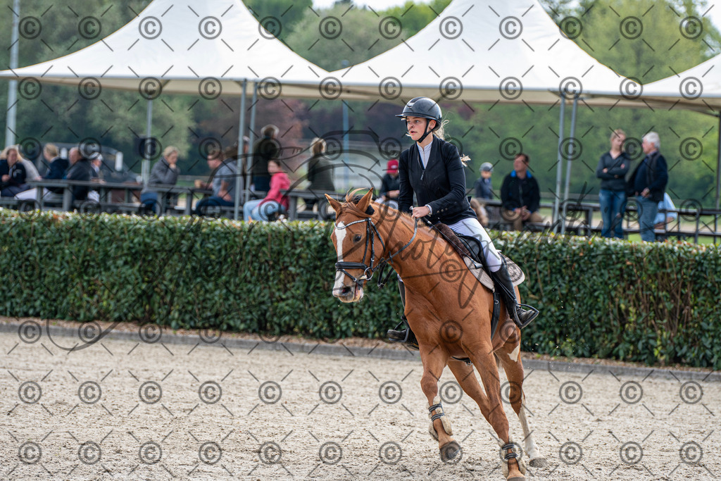 KPT_2528 | andre_photographic