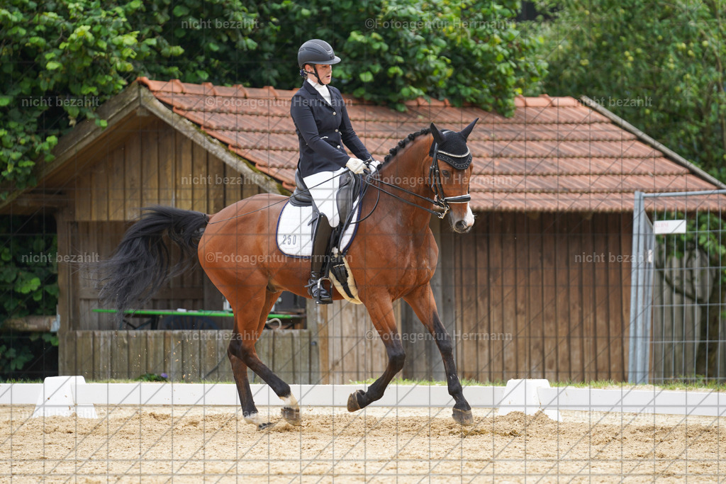 20240630-FAH02068 | Turnierbilder Schwabmünchen, Dressurbilder, Springreitturnier, Reitsportbilder, Turnierfotografen Bayern, Turnierfotograf