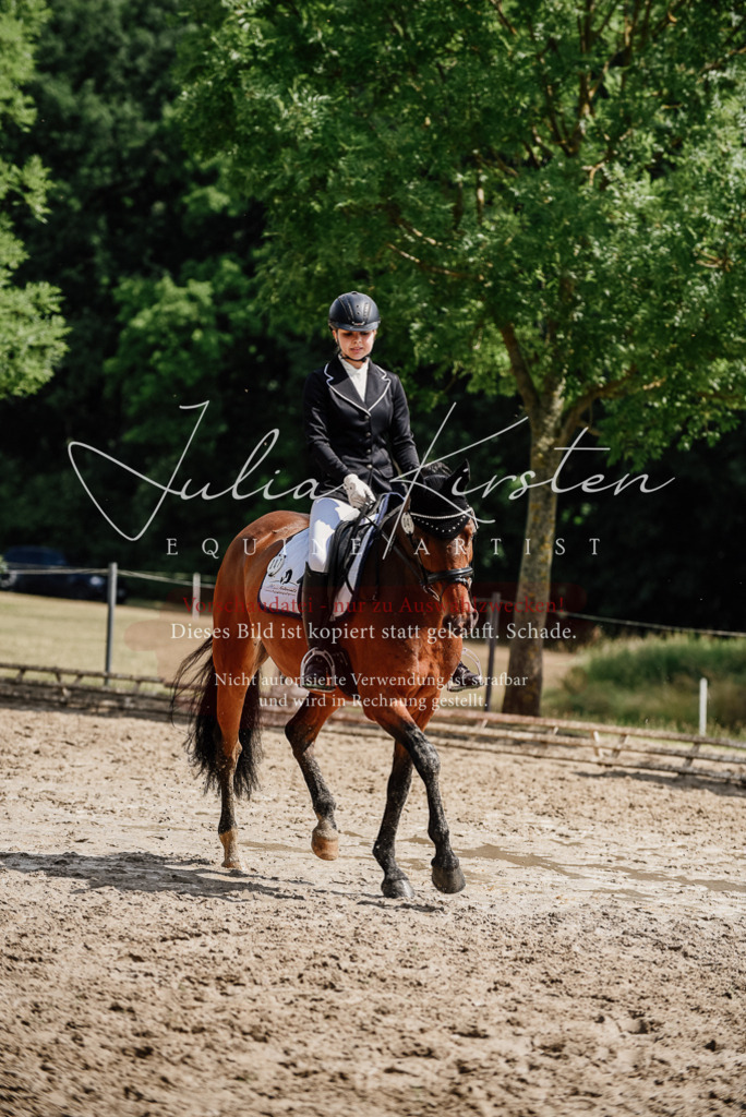 DSC_0896 | Pferde- und Turnierfotografie in Westsachsen. Pferdeportraits, Auftragszeichnungen und intuitive Kunst.