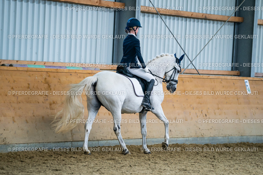 DSC05579 | Pferdegrafie