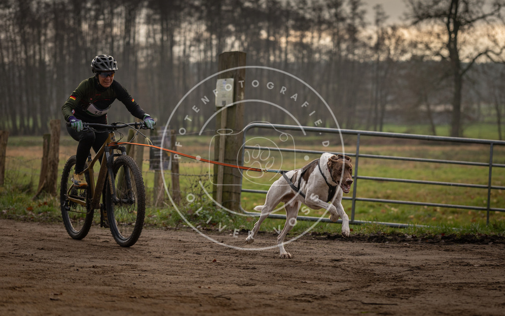 Pfotenfotografie_DV3A1815 | Hundefotografie, Tierfotograf, Pfotenfotografie, Fotoshooting Hund, Hunde Portrait, Hundesport, Hundeportraits, Heideshooting, Hunde, Sportfotograf, Hundefotograf, Turnierhundsport, THS,  - Realisiert mit Pictrs.com