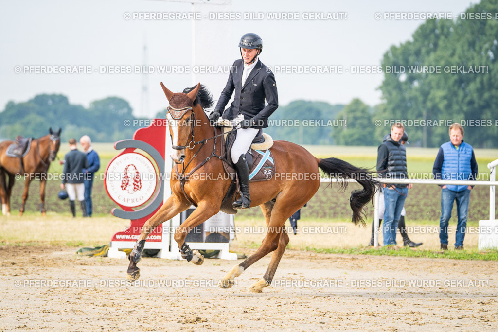 DSC09051 | Pferdegrafie