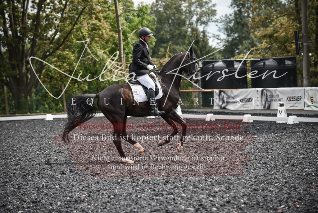 DSC_4949 | Pferde- und Turnierfotografie in Westsachsen. Pferdeportraits, Auftragszeichnungen und intuitive Kunst.