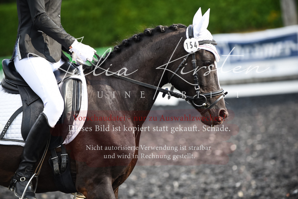 DSC_3411 | Pferde- und Turnierfotografie in Westsachsen. Pferdeportraits, Auftragszeichnungen und intuitive Kunst.