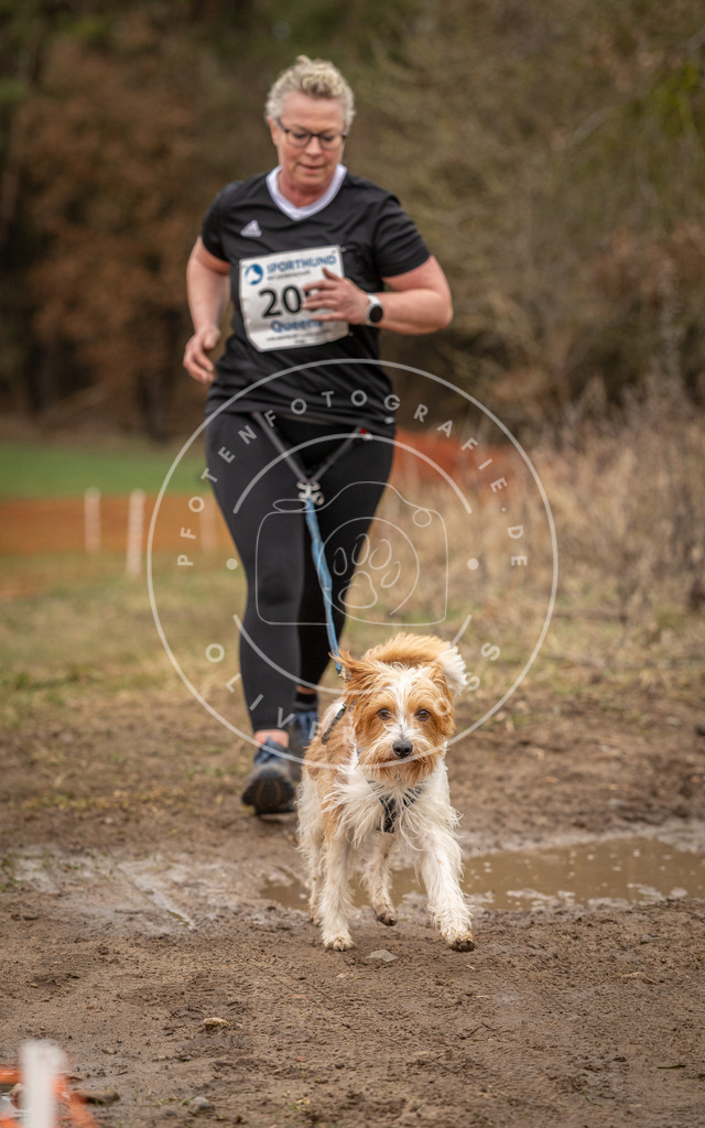DV3A3043 | Hundefotografie, Tierfotograf, Pfotenfotografie, Fotoshooting Hund, Hunde Portrait, Hundesport, Hundeportraits, Heideshooting, Hunde, Sportfotograf, Hundefotograf, Turnierhundsport, THS,  - Realisiert mit Pictrs.com