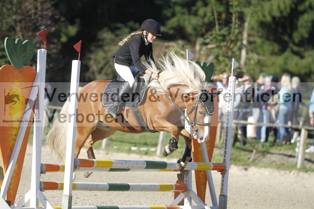 _MG_3917 | equestrian-live-com