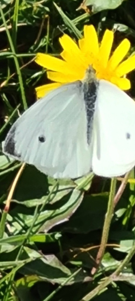 20210905_133840 | Heilkarten - Realisiert mit Pictrs.com