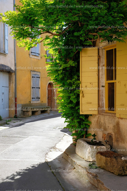 Gelbes Fenster in Lourmarin | Fotografie aus Lourmarin in der Provence