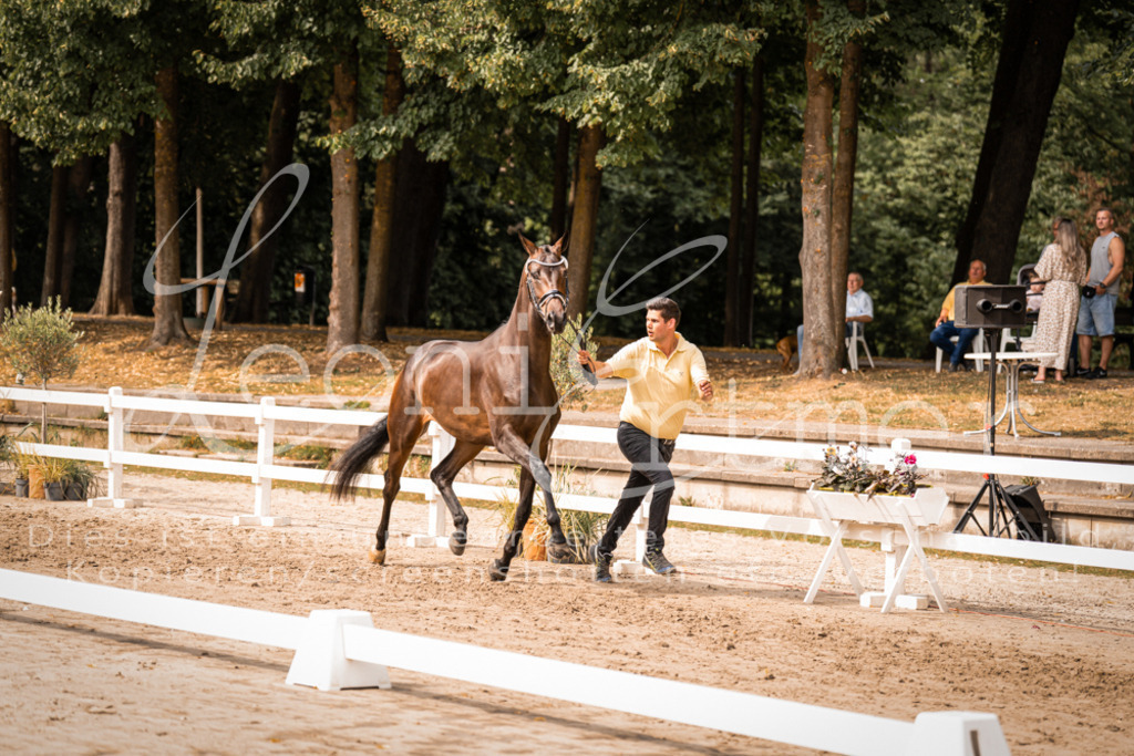 7.Fr00028 | Leoni Ertmer Photography - Realisiert mit Pictrs.com