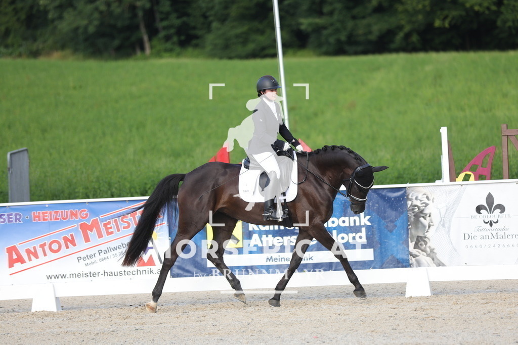 0P6A4288 | Willkommen bei Brunnmayr - Design & Fotografie – Ihrem Spezialisten für Reitturniere und Pferdeveranstaltungen in Oberösterreich, Salzburg und Bayern! Seit über 17 Jahren sind wir leidenschaftlich dabei.