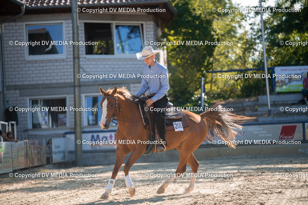 EWP_7064 | dv-media-shop - Realisiert mit Pictrs.com