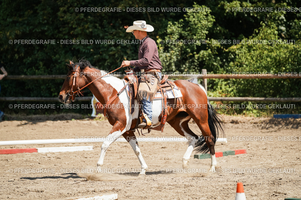 DSC07408 | Pferdegrafie