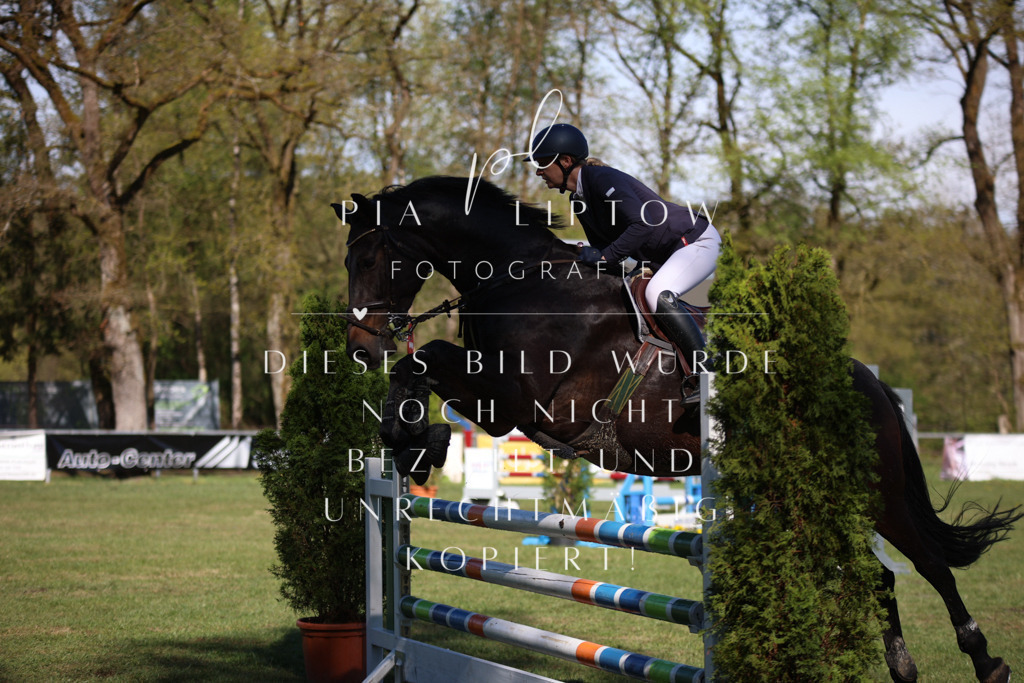 IMGT0351 | pl-fotografie