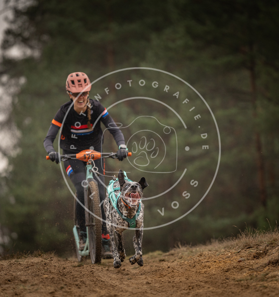 Pfotenfotografie_DV3A4471 | Hundefotografie, Tierfotograf, Pfotenfotografie, Fotoshooting Hund, Hunde Portrait, Hundesport, Hundeportraits, Heideshooting, Hunde, Sportfotograf, Hundefotograf, Turnierhundsport, THS,  - Realisiert mit Pictrs.com