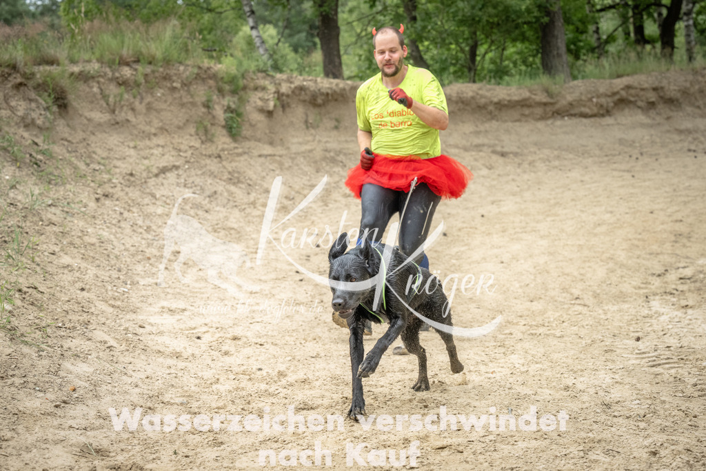 1521_ZZ96640 | kk-dogfotos