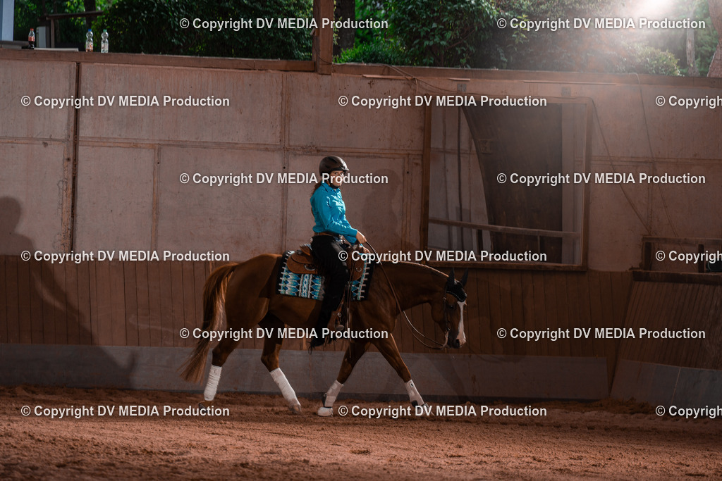 NE201087 | dv-media-shop - Realisiert mit Pictrs.com