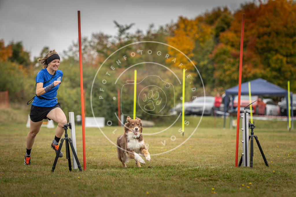 Pfotenfotografie_DV3A3627 | Hundefotografie, Tierfotograf, Pfotenfotografie, Fotoshooting Hund, Hunde Portrait, Hundesport, Hundeportraits, Heideshooting, Hunde, Sportfotograf, Hundefotograf, Turnierhundsport, THS,  - Realisiert mit Pictrs.com